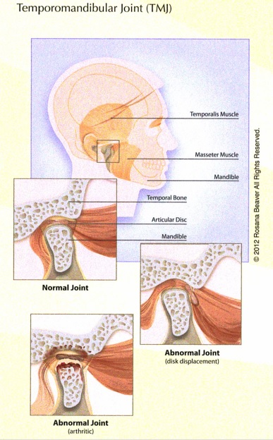 Temporomandibular Joint - TMJ